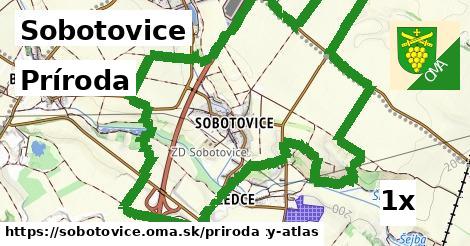 príroda v Sobotovice