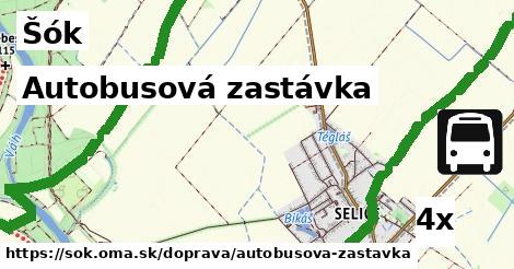 Autobusová zastávka, Šók