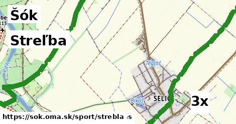 Streľba, Šók