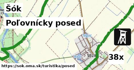 Poľovnícky posed, Šók