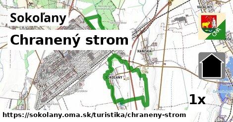 Chranený strom, Sokoľany