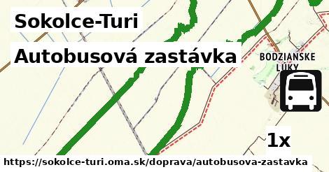 Autobusová zastávka, Sokolce-Turi