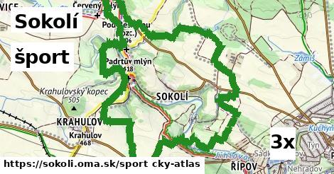 šport v Sokolí