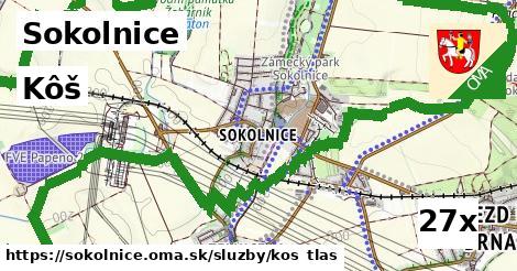 Kôš, Sokolnice