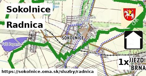 Radnica, Sokolnice