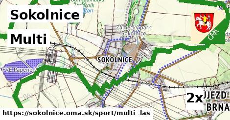 Multi, Sokolnice