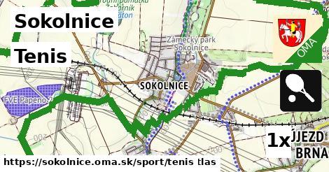 Tenis, Sokolnice
