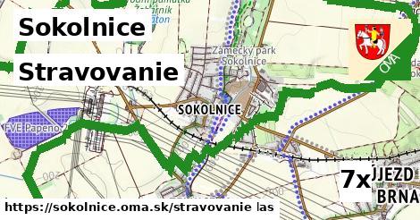 stravovanie v Sokolnice