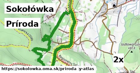 príroda v Sokołówka