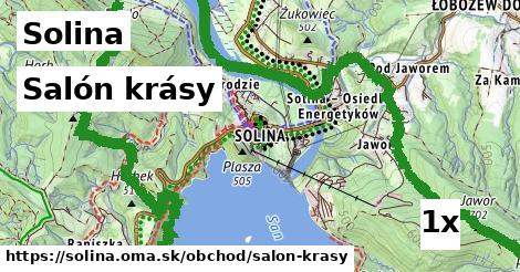 Salón krásy, Solina