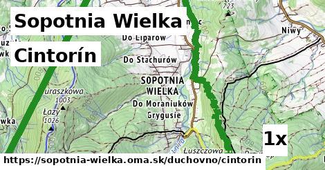 cintorín v Sopotnia Wielka