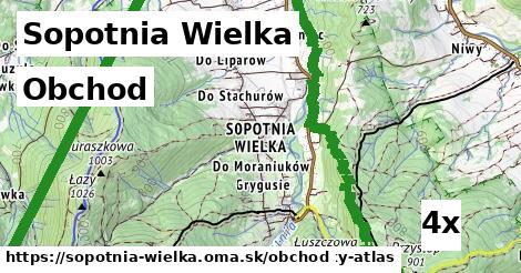 obchod v Sopotnia Wielka