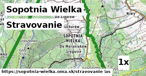 stravovanie v Sopotnia Wielka