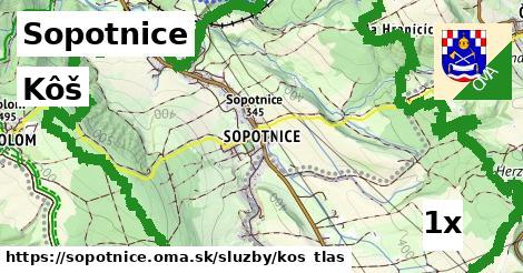 Kôš, Sopotnice