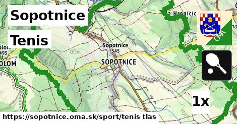 Tenis, Sopotnice