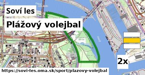 Plážový volejbal, Soví les