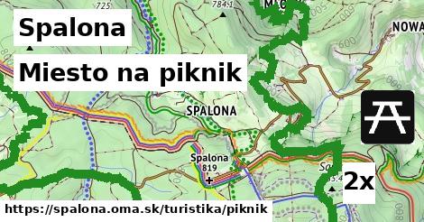 Miesto na piknik, Spalona