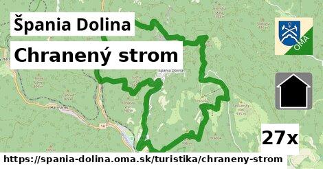 Chranený strom, Špania Dolina