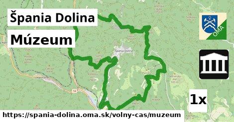 Múzeum, Špania Dolina