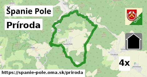 príroda v Španie Pole