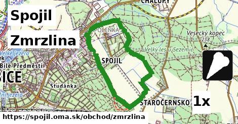 Zmrzlina, Spojil