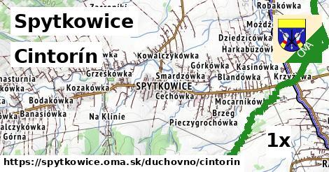 Cintorín, Spytkowice