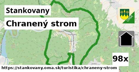 Chranený strom, Stankovany