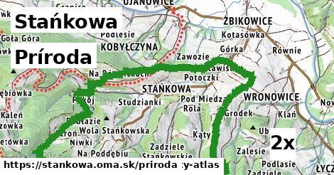 príroda v Stańkowa