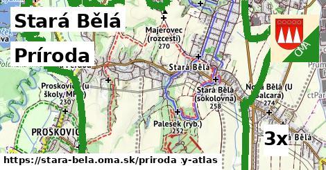 príroda v Stará Bělá