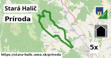 príroda v Stará Halič