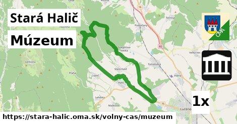 Múzeum, Stará Halič