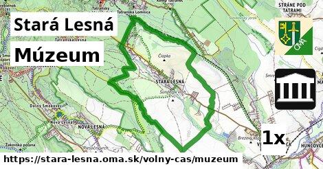 Múzeum, Stará Lesná