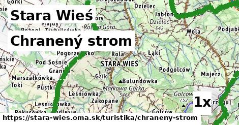 chranený strom v Stara Wieś