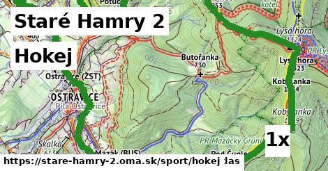 hokej v Staré Hamry 2