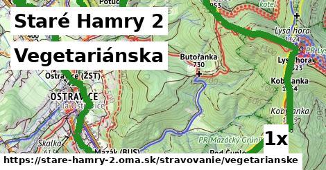 vegetariánska v Staré Hamry 2