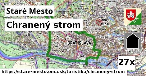 chranený strom v Staré Mesto