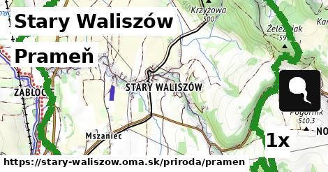 prameň v Stary Waliszów