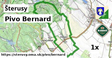 pivo Bernard v Šterusy