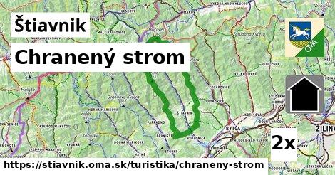 Chranený strom, Štiavnik