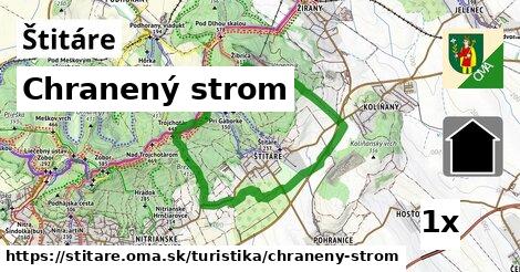 Chranený strom, Štitáre