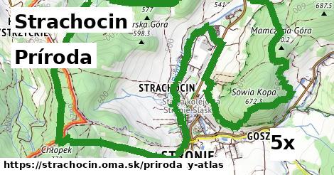 príroda v Strachocin