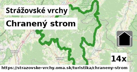 Chranený strom, Strážovské vrchy