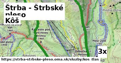 kôš v Štrba - Štrbské pleso