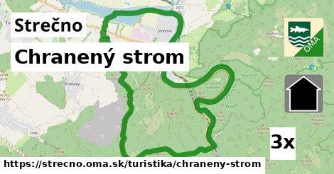 Chranený strom, Strečno