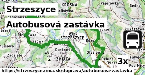 Autobusová zastávka, Strzeszyce