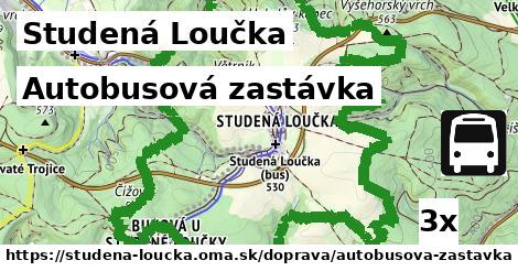 Autobusová zastávka, Studená Loučka