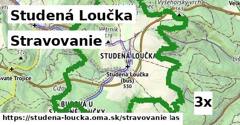 stravovanie v Studená Loučka