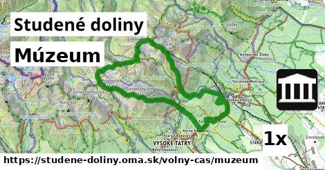 Múzeum, Studené doliny