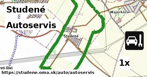 Autoservis, Studené