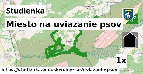 Miesto na uviazanie psov, Studienka